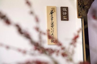 一日仅售五盒！这家空间的高品质茶果子，颜值高到让人舍不得入口